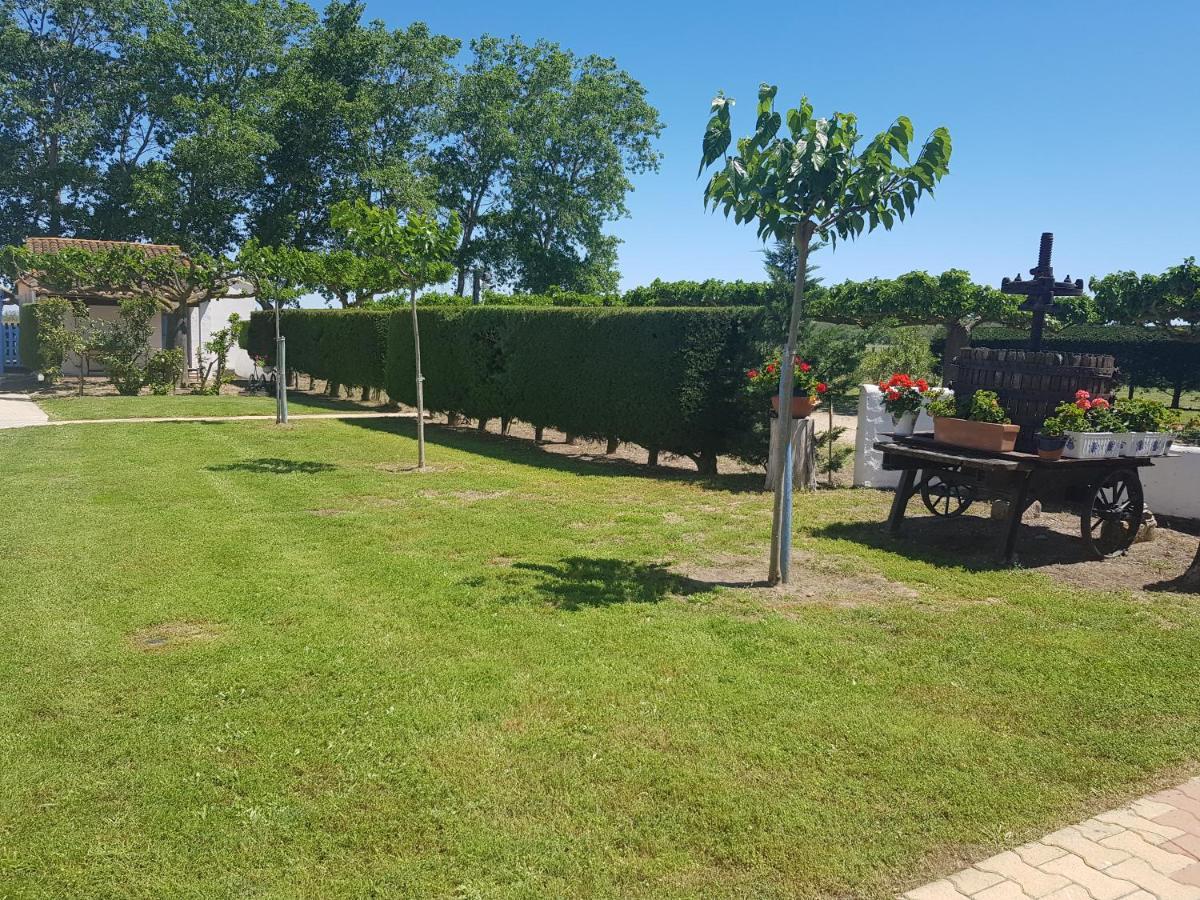 Le Mas De Mon Pere Saintes-Maries-de-la-Mer Exterior photo