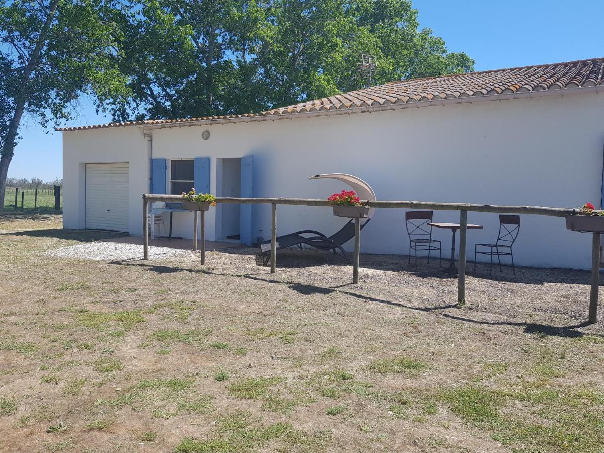 Le Mas De Mon Pere Saintes-Maries-de-la-Mer Exterior photo